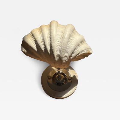 MODERN PAIR OF LARGE CLAM SHELL WALL SCONCES