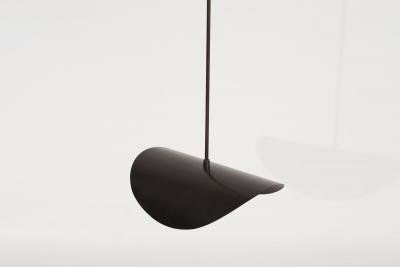 MONTERA Biomorphic Pendant Light in ORB and Blown Glass