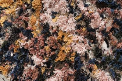 Maarten Vrolijk Maarten Vrolijk Blooming Terra Textile MVT19001 NL 2021