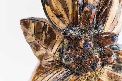 Maarten Vrolijk Maarten Vrolijk No 1 NL