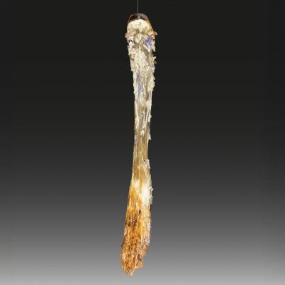 Maarten Vrolijk Maarten Vrolijk Sakura TFO24007 NL 2024