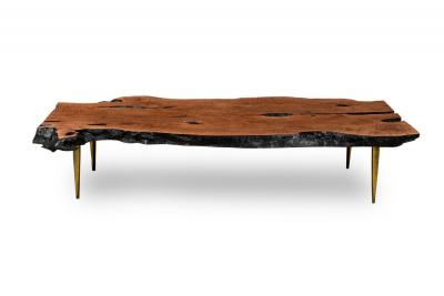Madeira Contemporary Modern Rectangular Live Edge Petrified Wood and Polishe