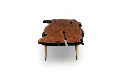 Madeira Contemporary Modern Rectangular Live Edge Petrified Wood and Polishe