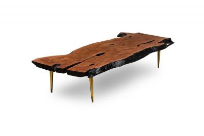 Madeira Contemporary Modern Rectangular Live Edge Petrified Wood and Polishe