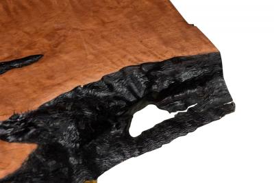 Madeira Contemporary Modern Rectangular Live Edge Petrified Wood and Polishe