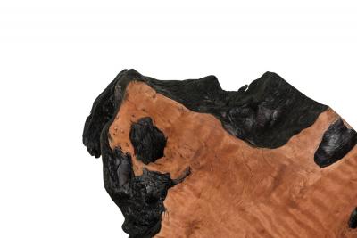 Madeira Contemporary Modern Rectangular Live Edge Petrified Wood and Polishe