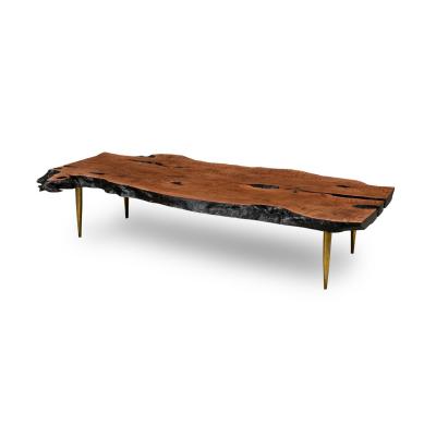 Madeira Contemporary Modern Rectangular Live Edge Petrified Wood and Polishe