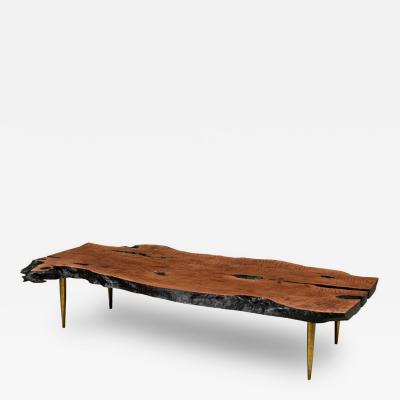 Madeira Contemporary Modern Rectangular Live Edge Petrified Wood and Polishe