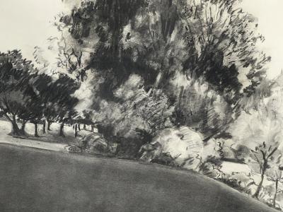 Madeleine Rosemarie Liepe Charcoal on paper The Edge of the Park Signed Liepe 70