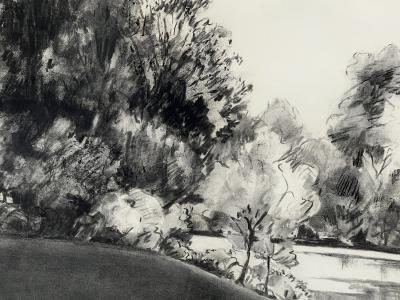 Madeleine Rosemarie Liepe Charcoal on paper The Edge of the Park Signed Liepe 70