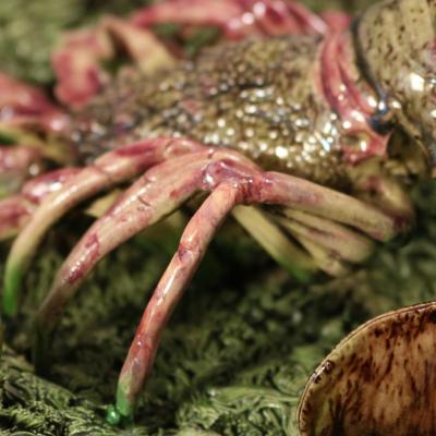 Mafra Palissy Majolica Lobster Plate