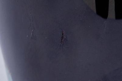 Magnificent Japanese Meiji Cloisonn Enamel Vase with Pheasants Inaba Co 