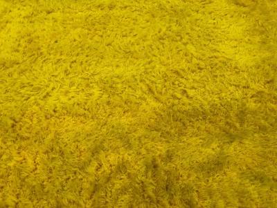 Magnificent XL Room Size Canary Yellow Shag Pile Rug Circa 60s