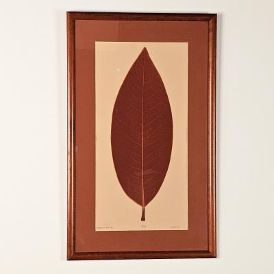 Magnolia Leaf II by Milford