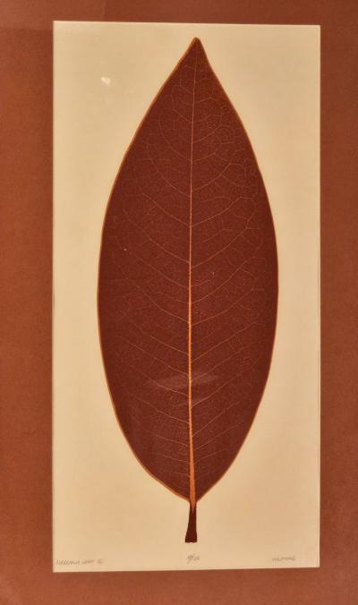 Magnolia Leaf II by Milford