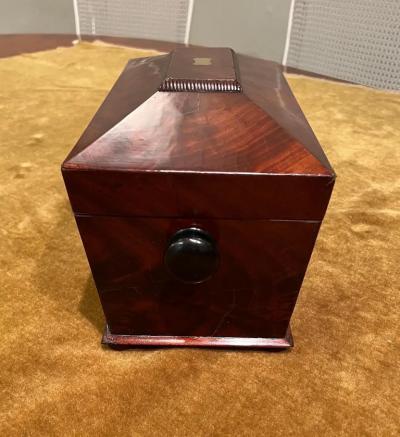 Mahogany Tea Caddy Sarcophagus form Early 19th Century