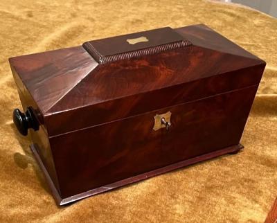 Mahogany Tea Caddy Sarcophagus form Early 19th Century