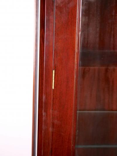 Mahogany Wood Chippendale Style Display Cabinet