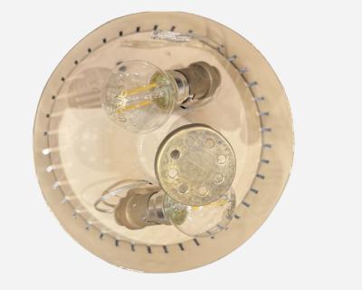 Maison Arlus Ceiling light model 596 Editions Maison Arlus Paris France circa 1960