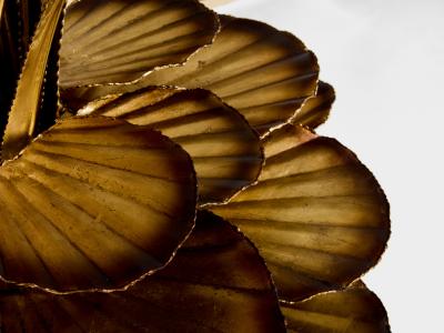 Maison Jansen Maison Jansen pair of brass reeds water lilies floor lamps 1970s