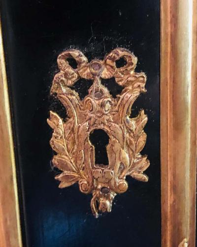 Maison Jansen Two Door Ebony Cabinets in the Manner of Maison Jansen a Pair