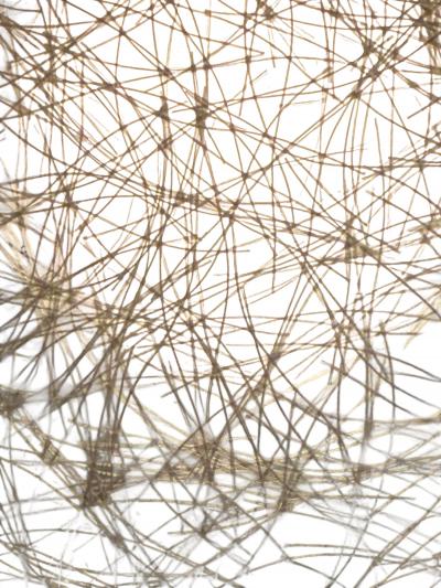 Majestic Lamp company MID CENTURY PAIR OF BRASS BLACK ENAMEL CAGE ACCENT LAMPS