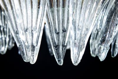 Majestic Murano Palmette Chandelier 1970s