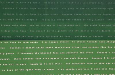 Manuel Pi a Baldoqu n Aguas Baldias Green 