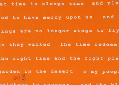 Manuel Pi a Baldoqu n Aguas Baldias Orange 