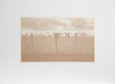 Manuel Pi a Baldoqu n Aguas Baldias White 