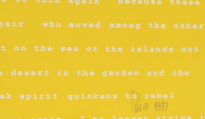 Manuel Pi a Baldoqu n Aguas Baldias Yellow 