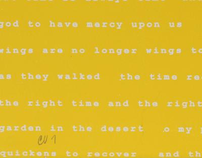 Manuel Pi a Baldoqu n Aguas Baldias Yellow 