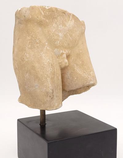 Marble Torso Italy 18th Century or Earlier