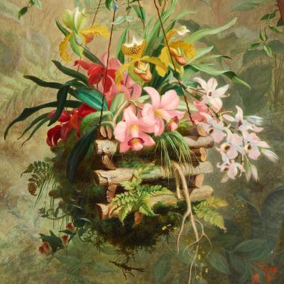 Marc Laurent Bruyas Large 19th century floral still life of a hanging orchid basket by Bruyas