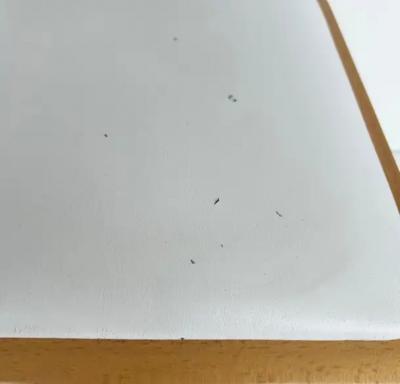 Marcel Breuer Italian Marcel Breuer Cesca Dining Chairs Set of 6 in Chrome Wood and Leather