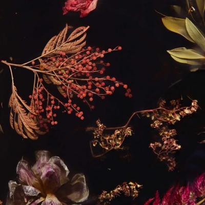 Marcin Rusak FLORA CABINET 140