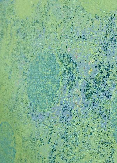 Marco Schmidli Marco Schidli Dots A483 Abstract Painting Acrylic on Canvas 2019