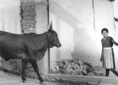 Mariana Yampolsky La doncella y el Toro The Maiden and the Bull