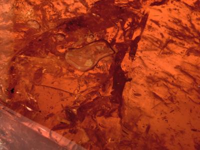 Marie Claude Fouquieres Marie Claude De Fouqui res orange fractal resin coffee table 1970
