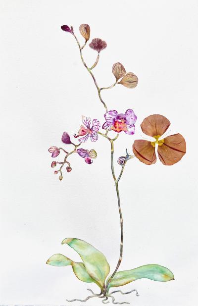 Marilla Palmer Orchid Poppy and Velvet