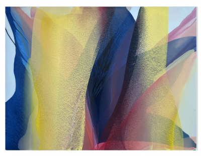 Marina Savashynskaya Dunbar Blue Iris 2025