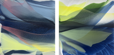 Marina Savashynskaya Dunbar Blue Iris IV diptych 2025