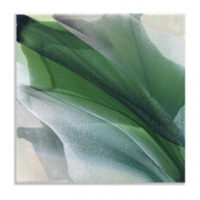 Marina Savashynskaya Dunbar Magnolia X 2025