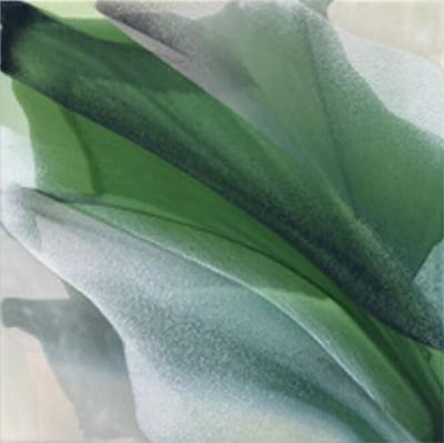 Marina Savashynskaya Dunbar Magnolia X 2025
