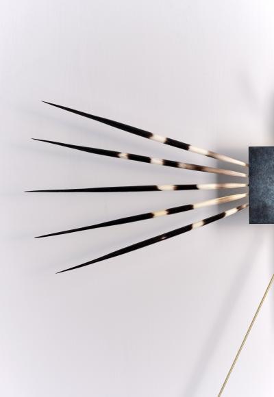 Marine Breynaert Dragonfly Wall Lamp