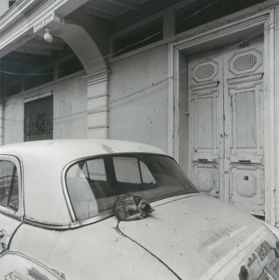 Mario Algaze El gato con su 1951 Dodge Garsnavil Ecuador 1990