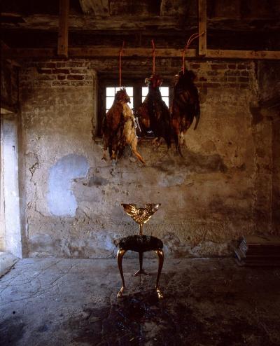 Mark Brazier Jones Pegasus Chair