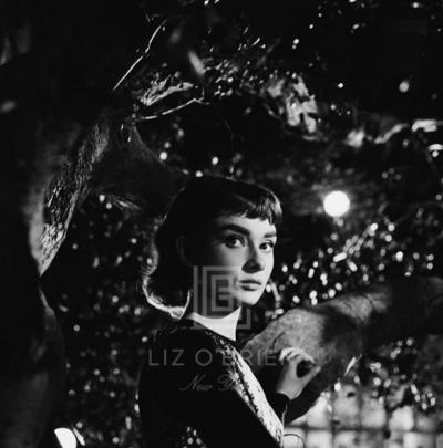 Mark Shaw Audrey Hepburn Under Tree Close 1953