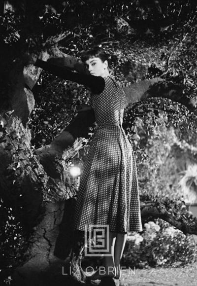 Mark Shaw Audrey Hepburn Under Tree Looks Back 1953