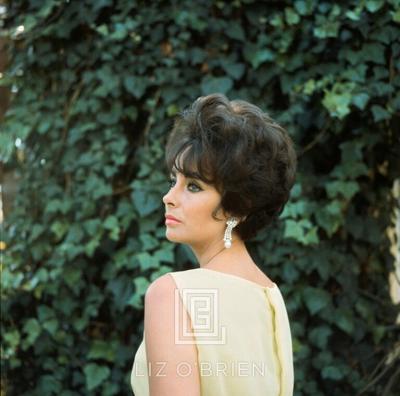 Mark Shaw Elizabeth Taylor in Yellow Chiffon Looks Away 1961